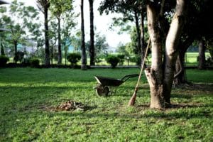 Image of grassy lawn with trees and a wheelbarrow. Department of agriculture.